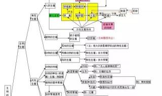 生物八年级下册——鸟的生殖与发育的重要知识点 初一下册生物知识点